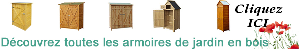 Armoire de jardin en bois